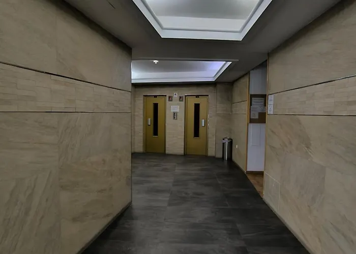 Qh - 01 塞拉内华达