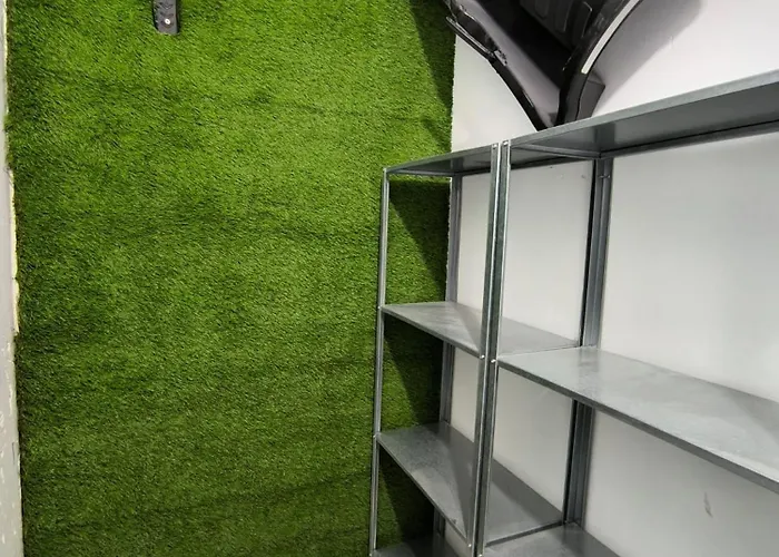 Qh - 01 * Sierra Nevada